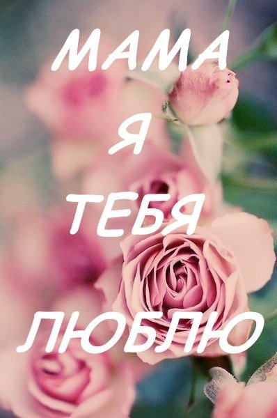 Мамочка я тебя люблю