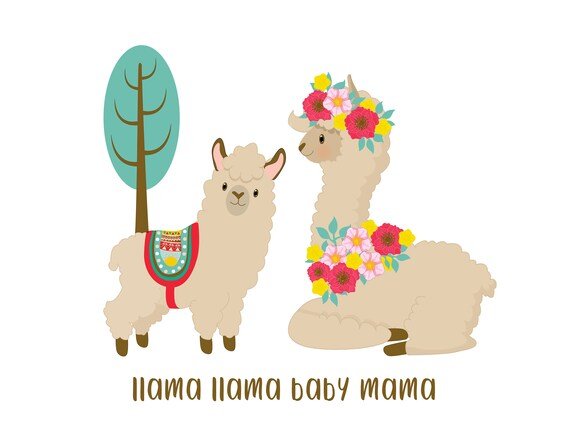 Лого llama mama