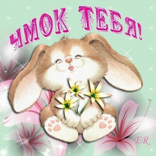Привет Зайка