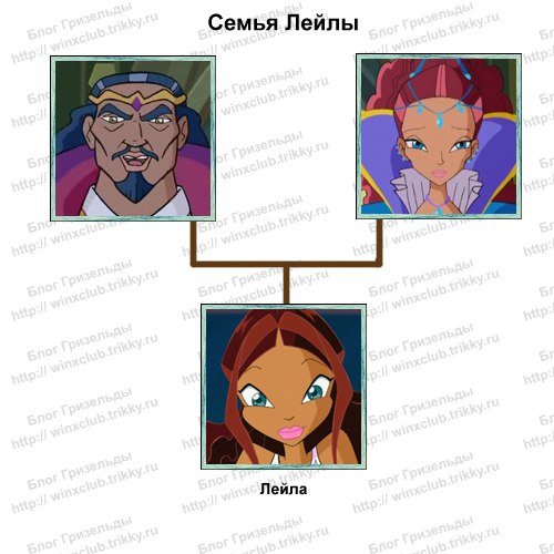 Винкс родители Лейлы