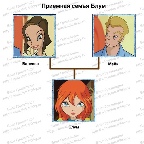 Родители Блум из Винкс имена