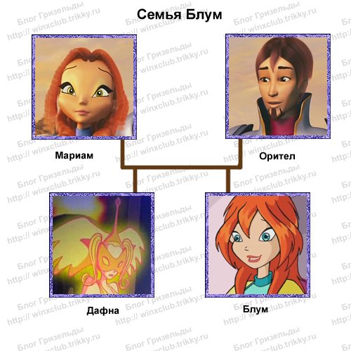 Клуб Винкс семья Блум