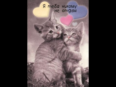 Я тебя люблю киска