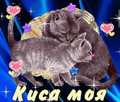 Киса моя