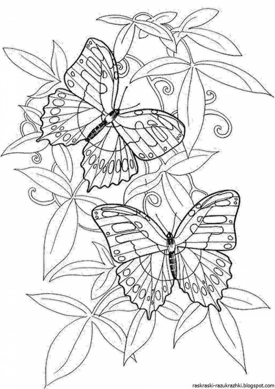 Раскраски бабочек