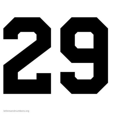Цифра 29