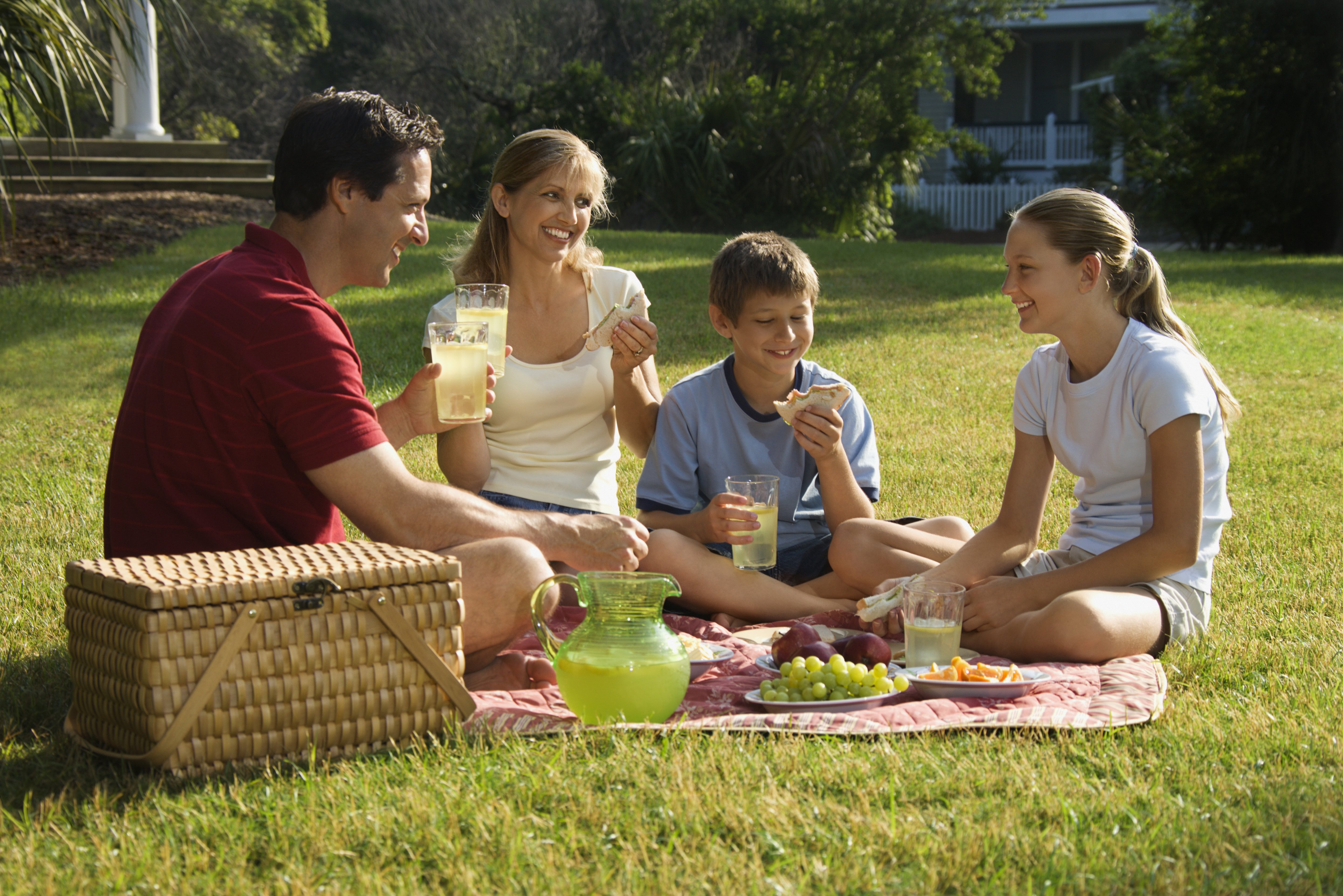 Видео семья пригласила. Семейный пикник на природе. Люди на пикнике. Семья на пикнике. Отдых на природе.