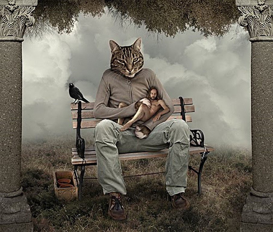 Кот сюрреализм. Коты и люди. Сюрреализм кот и человек. Книги человек человеку кот