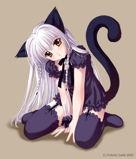 3 Анимешки девочки кошечки