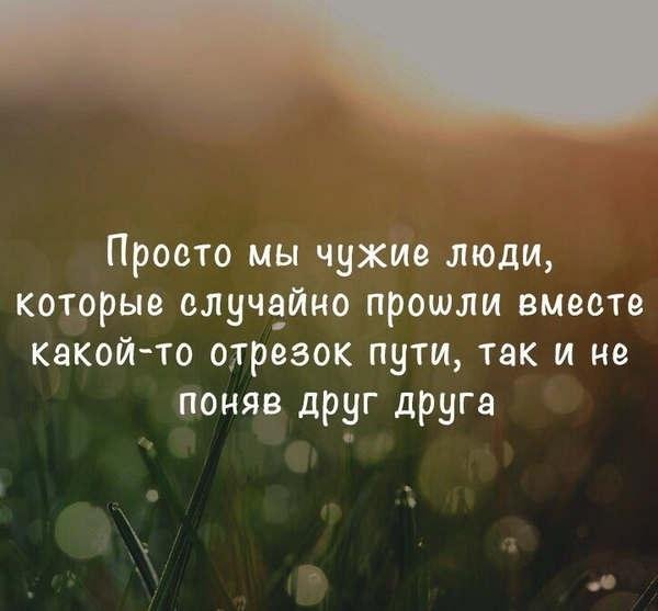 Просто цитаты