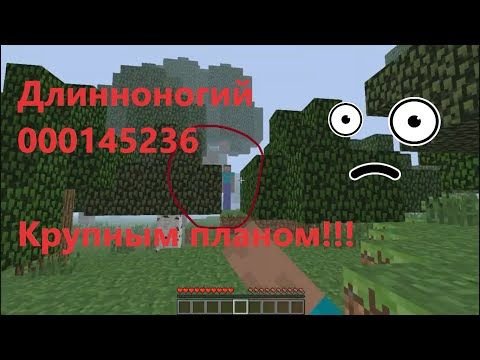 Длинноногий в МАЙНКРАФТЕ
