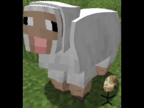 Нарисовать овцу в МАЙНКРАФТЕ