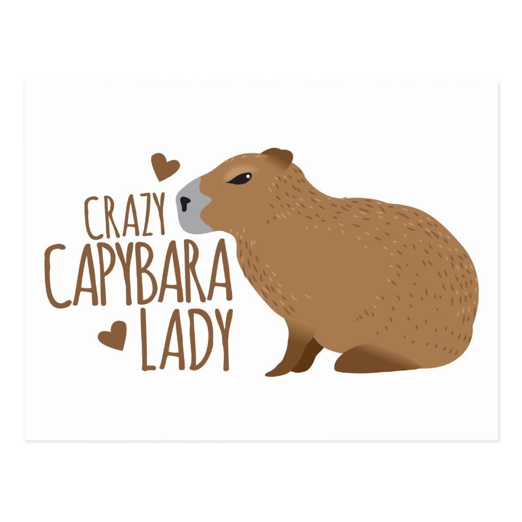 My pets capybaras. День капибары. Капибара лого. Капибара рисунок. RFGB,FHF C ltyb hj;ltybz.