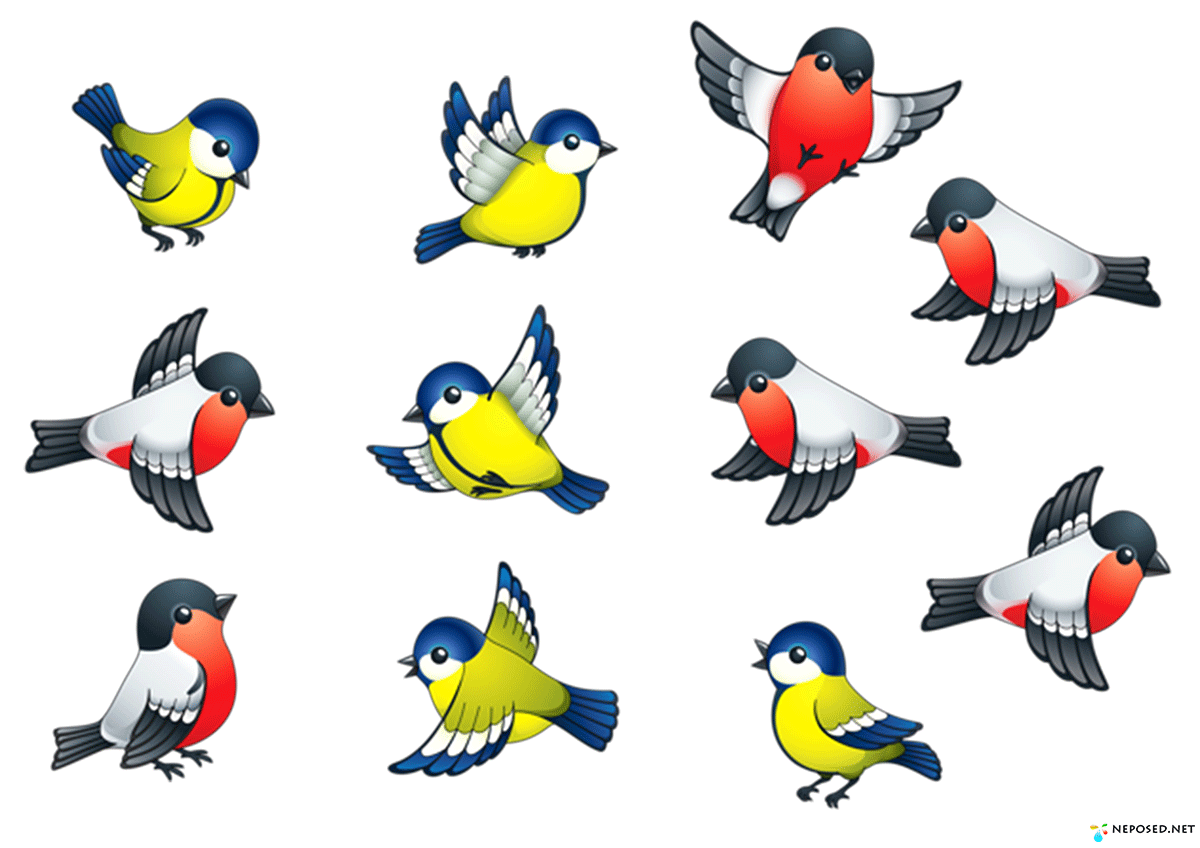 Птицы картинки для вырезания цветные детей распечатать