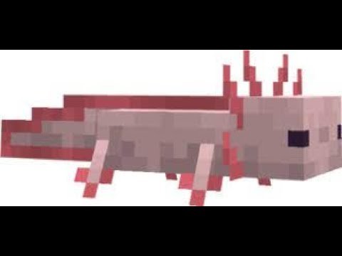 Аксолотль из МАЙНКРАФТА 1 17