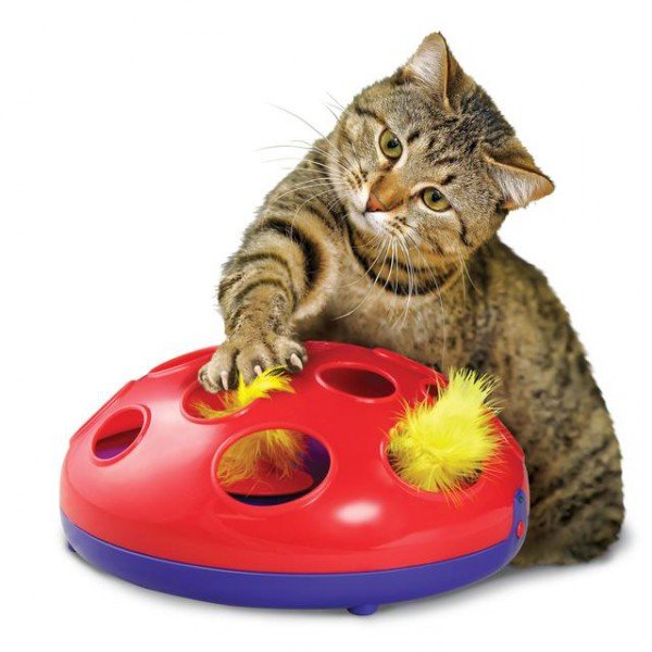 Интерактивная игрушка кошка