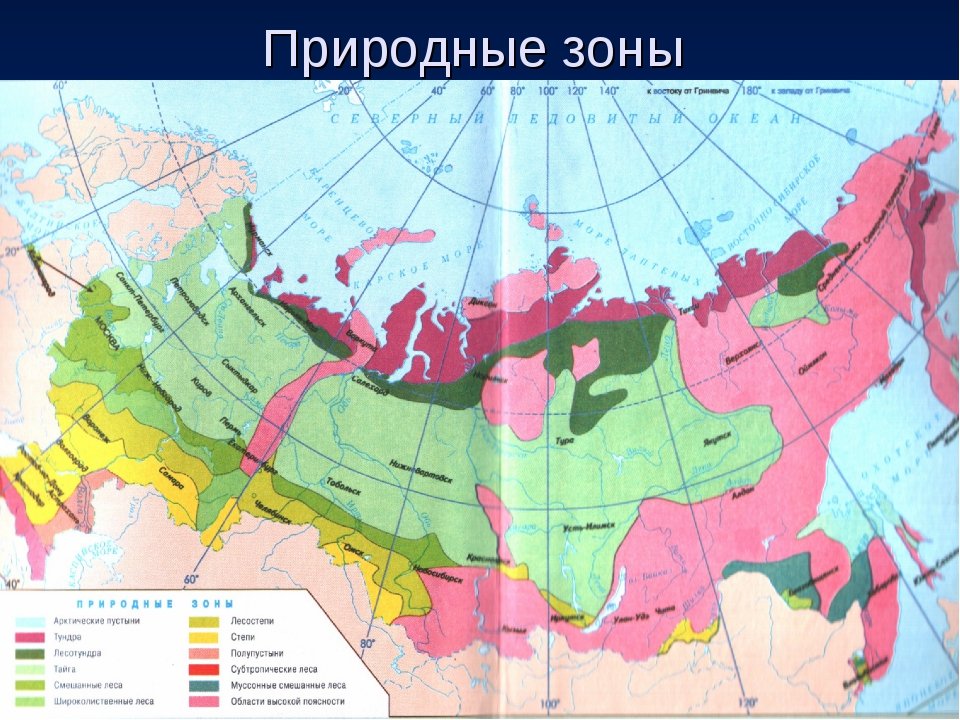 Сопоставьте карту природных зон россии