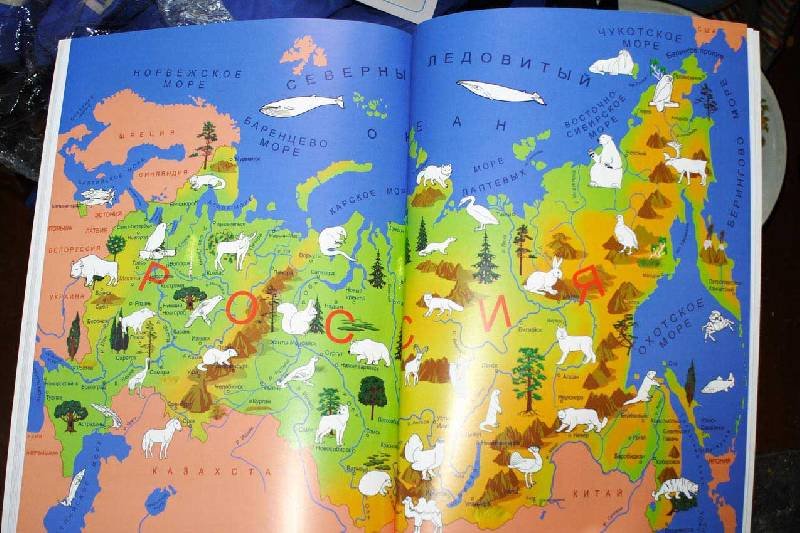 Карта удивительный мир. Карта природы России для детей. Удивительный мир природы на карте Росси. Удивительный мир природы на карте нашей Родины. Удивительнвймир пиироды на Аарте нашей родинв.