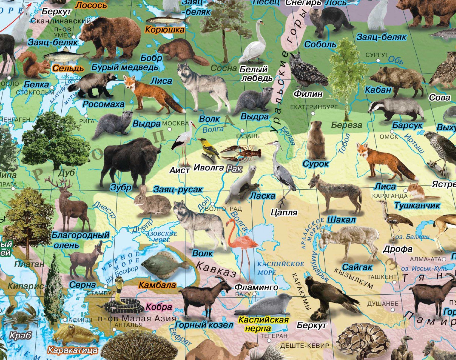 Кто живет в евразии. Карта животных России. Животный мир России карта. Животные на карте природных зон.