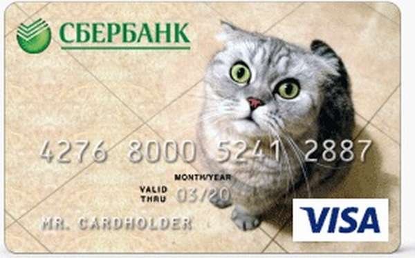 Карта Сбербанка с котиком