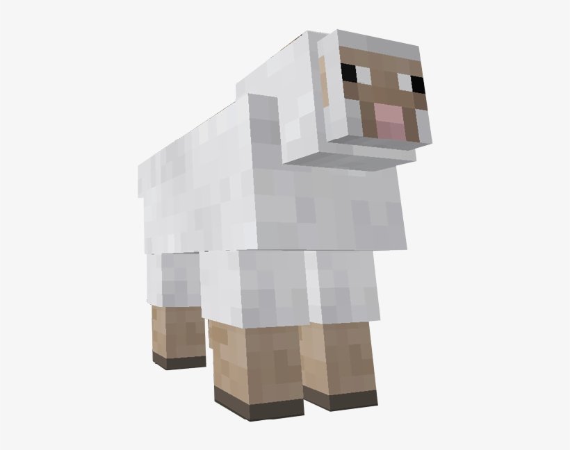 46 46