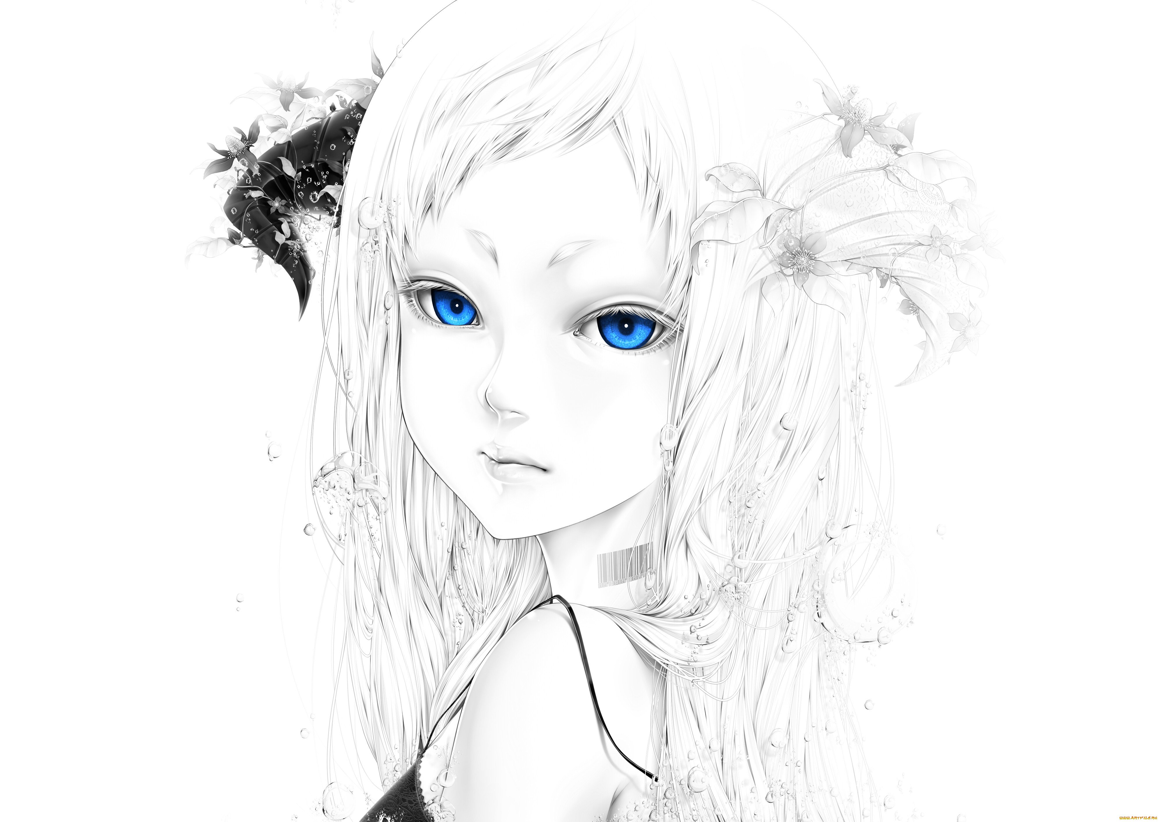  50 