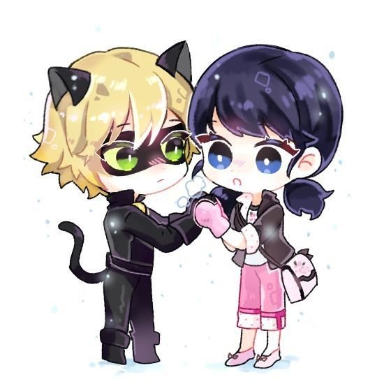Кот Нуар Чиби