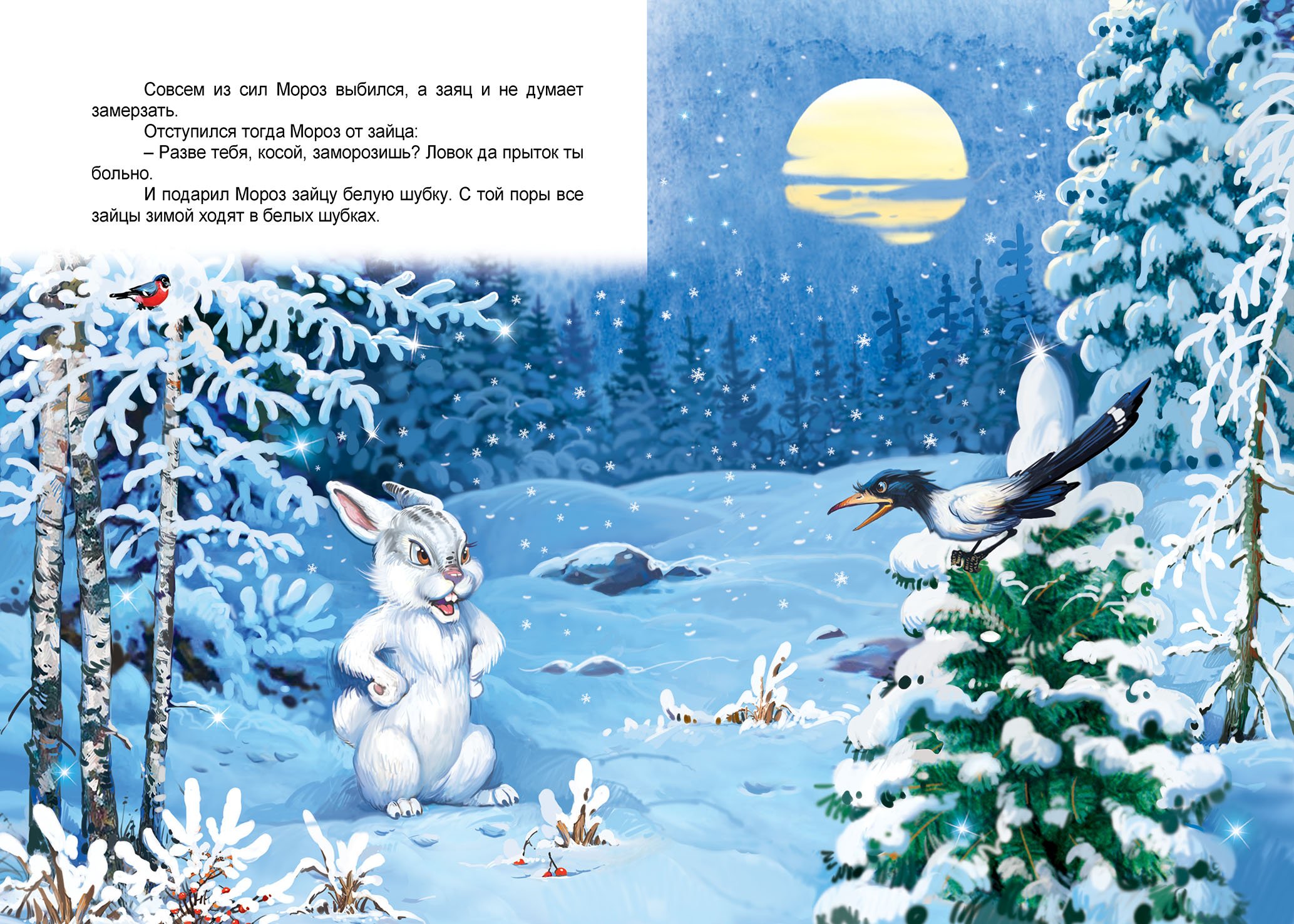 Сказка зима читать. Сказка Мороз и заяц. Иллюстрации к сказке Мороз и заяц. Зимние сказки для детей. Сказка про зайца зимой.