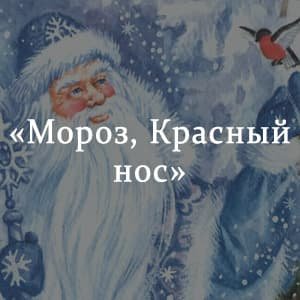 Некрасова дед Мороз красный нос