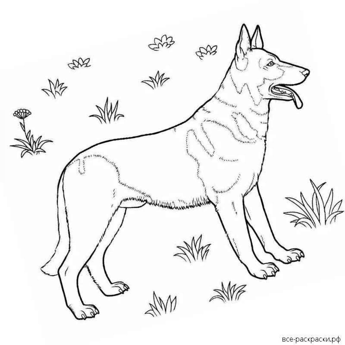 Раскраска Собаки из игры майнкрафт