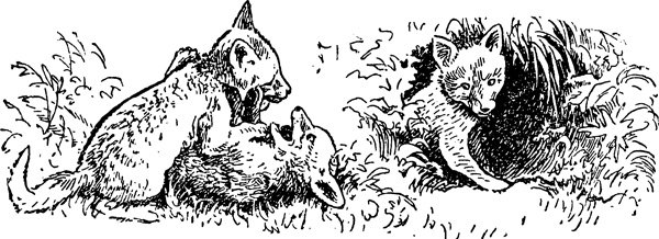 Лисья Нора раскраска