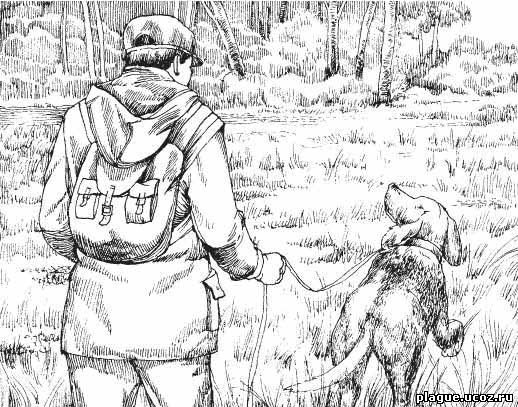 Рисунок к сказке охотник и собаки