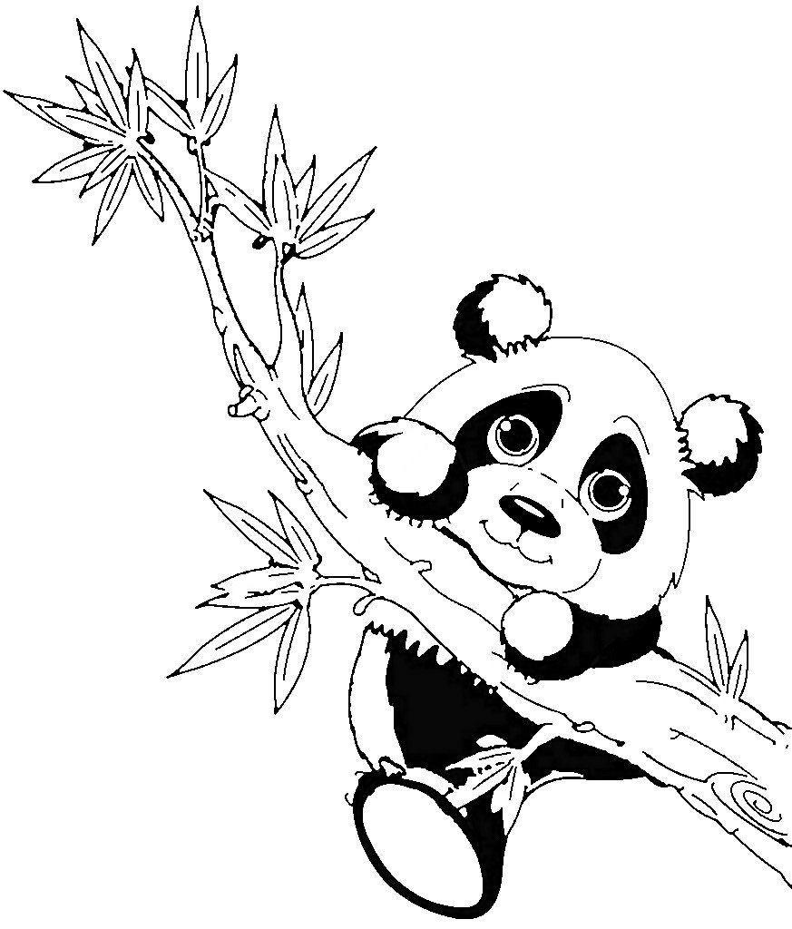 Рисунок панда раскраска - 76 фото