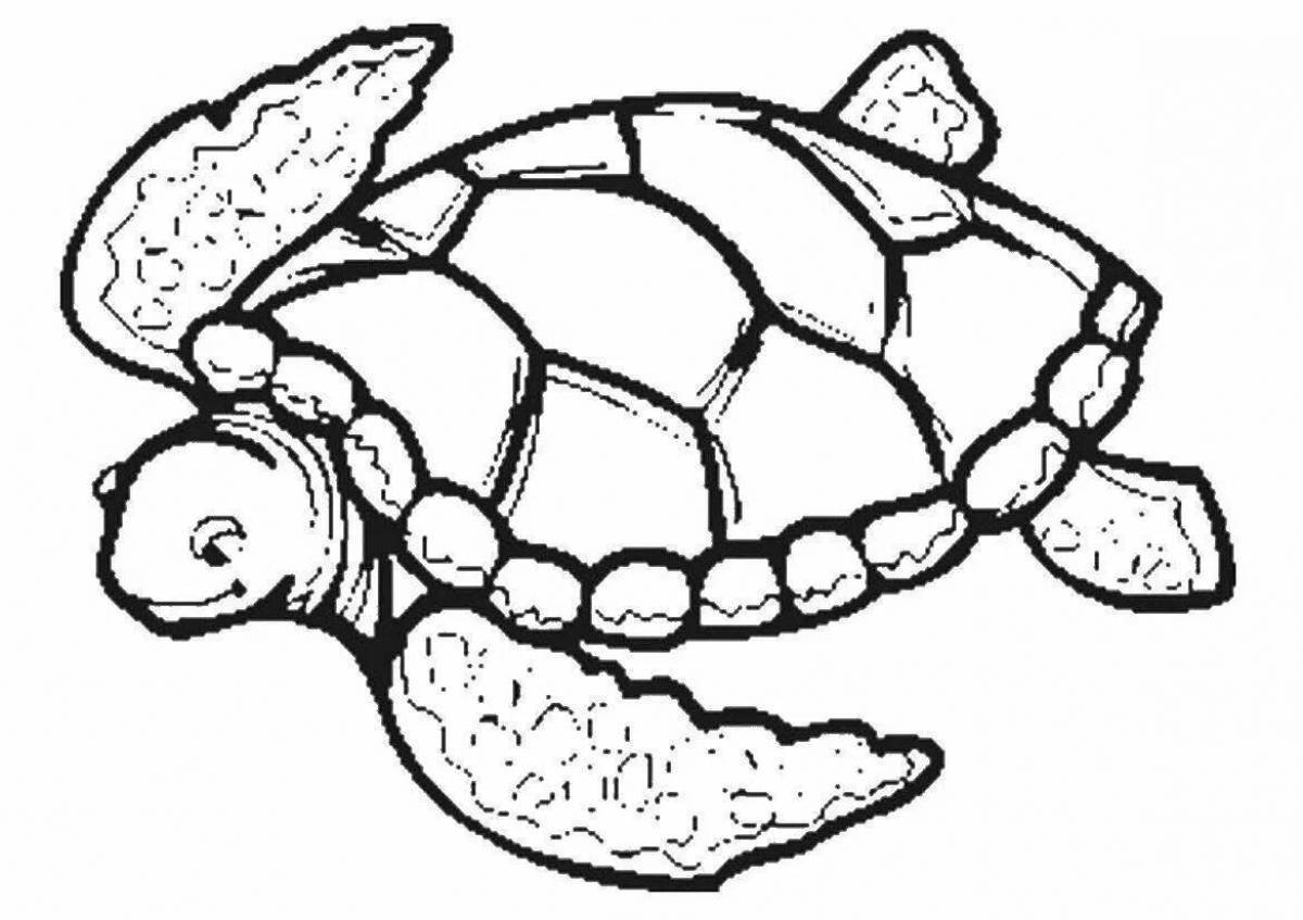Черепаха рисунок для детей карандашом - 80 фото
