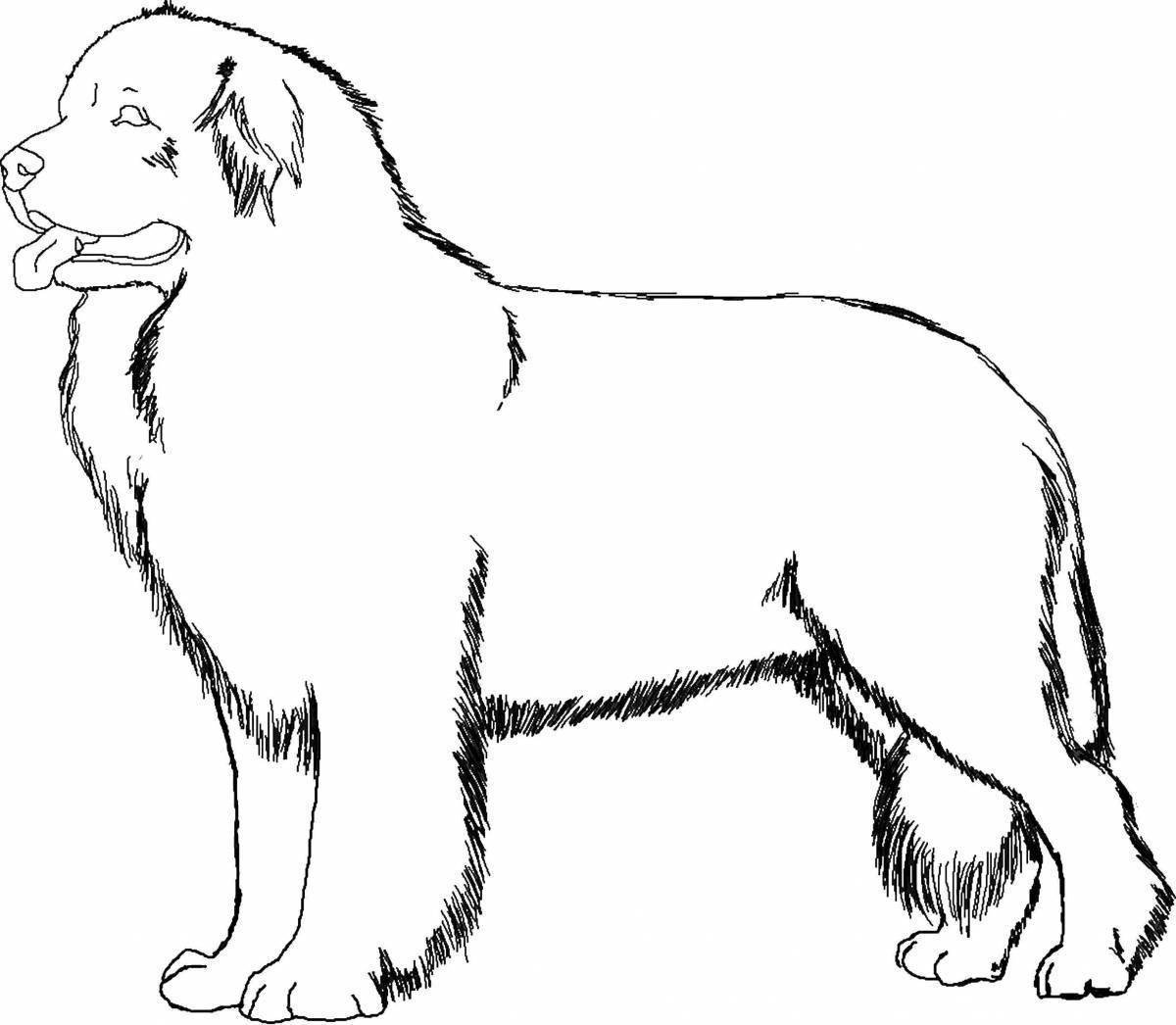 Породы собак нарисовать. Собака контур сбоку. Южнорусская овчарка ньюфаундленд. Тибетский мастиф и Сенбернар. Кавказская овчарка ньюфаундленд собака.