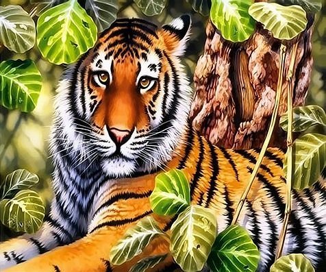 Картина по номерам на дереве тигр