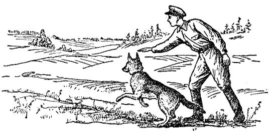 Раскраска пограничник