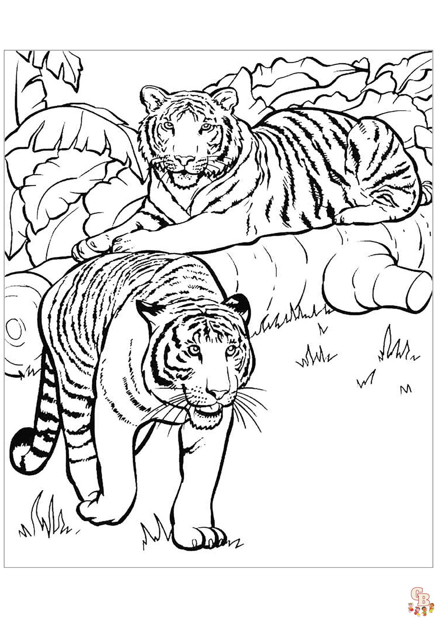 Тигры — раскраска для детей. Распечатать бесплатно.