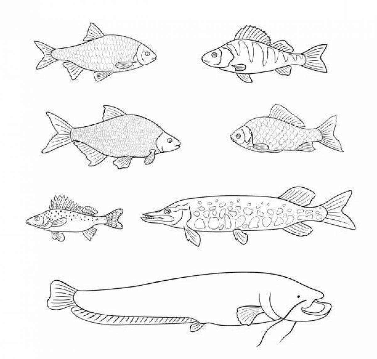 Раскраски рыбы для детей | Распечатать раскраска животные