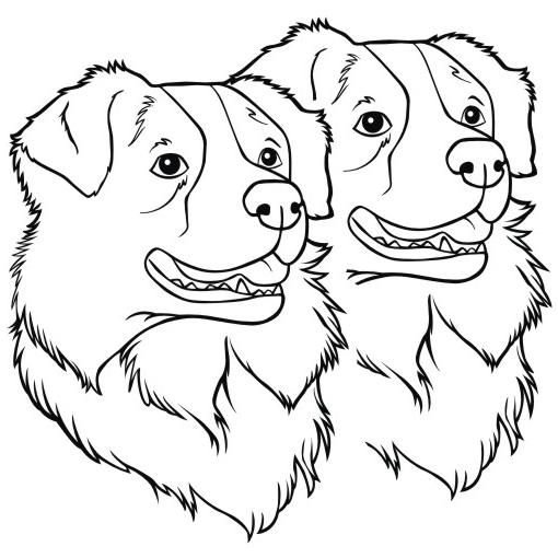 Две собаки рисунок