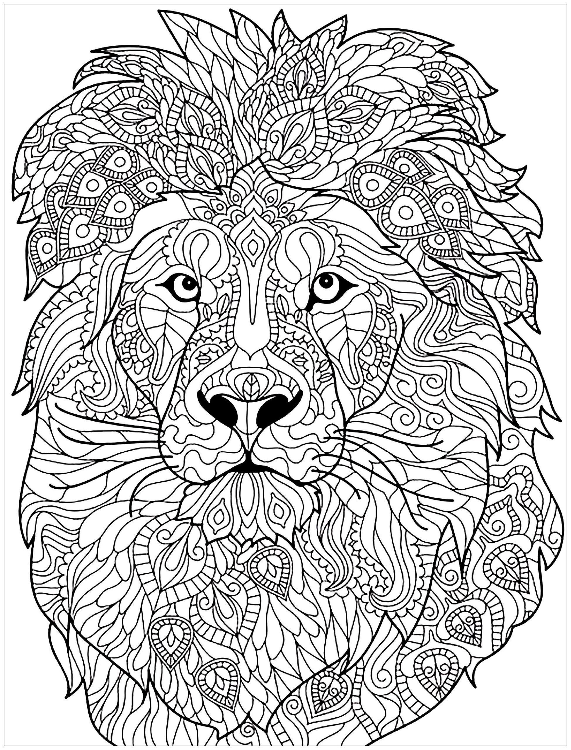 Раскраска лев — Все для детского сада