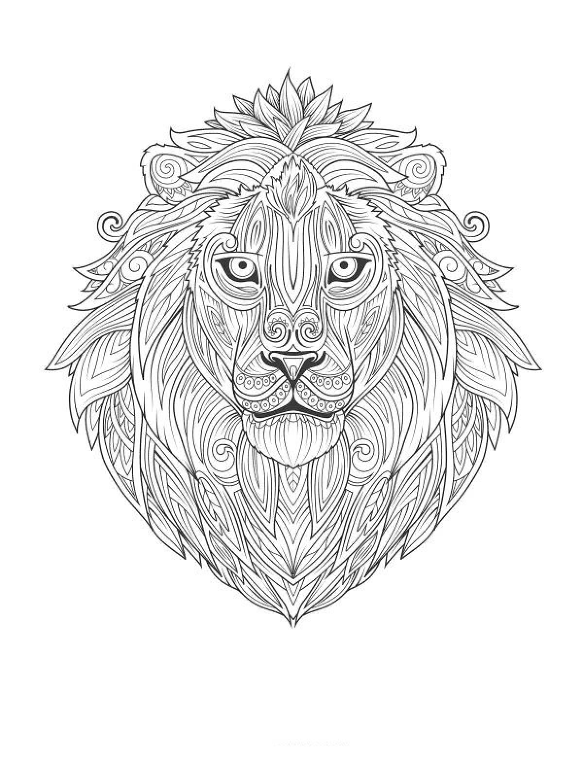 Лев и львица раскраска - 58 фото