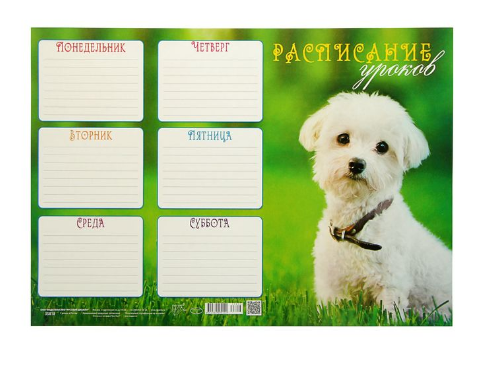 Раскраски расписание уроков с собаками (47 фото)