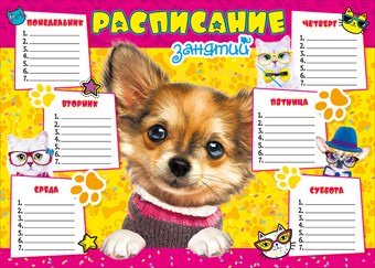 Расписание уроков с собаками