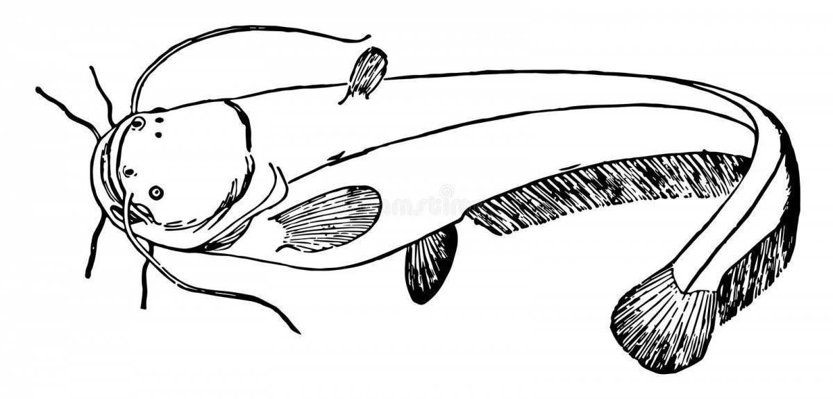 Акула молот рисунок карандашом. Как нарисовать акулу поэтапно карандашом