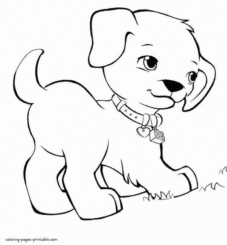Как нарисовать щенка поэтапно 8 уроков