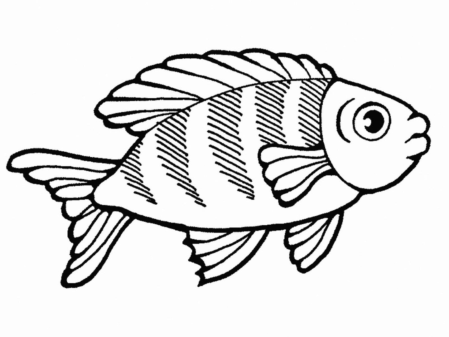 Раскраска-рыбки
