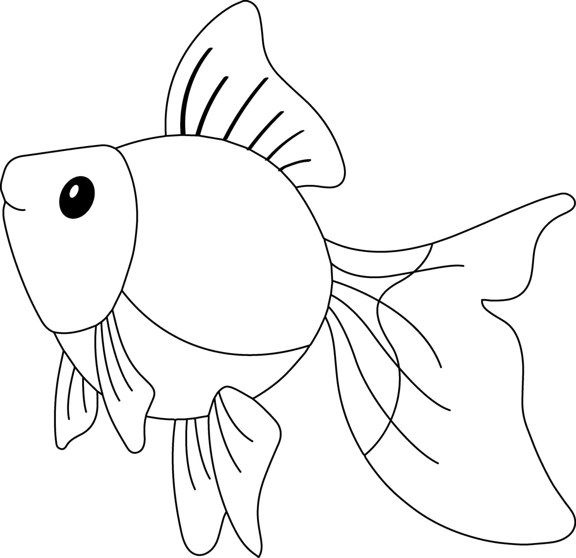 Золотая рыбка раскраска для детей - фото