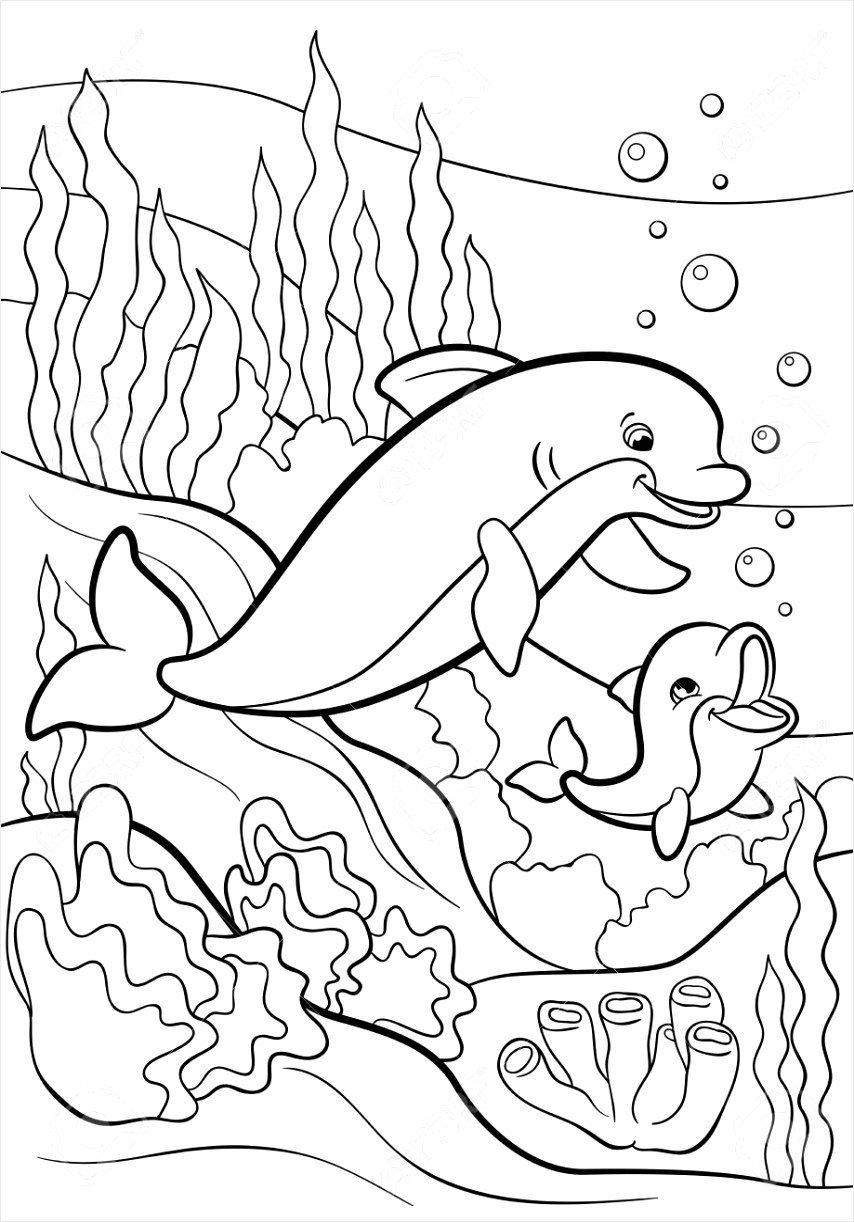 Раскраска дельфин для детей распечатать бесплатно | Раскраски, Легкие рисунки, Рисунки цветов