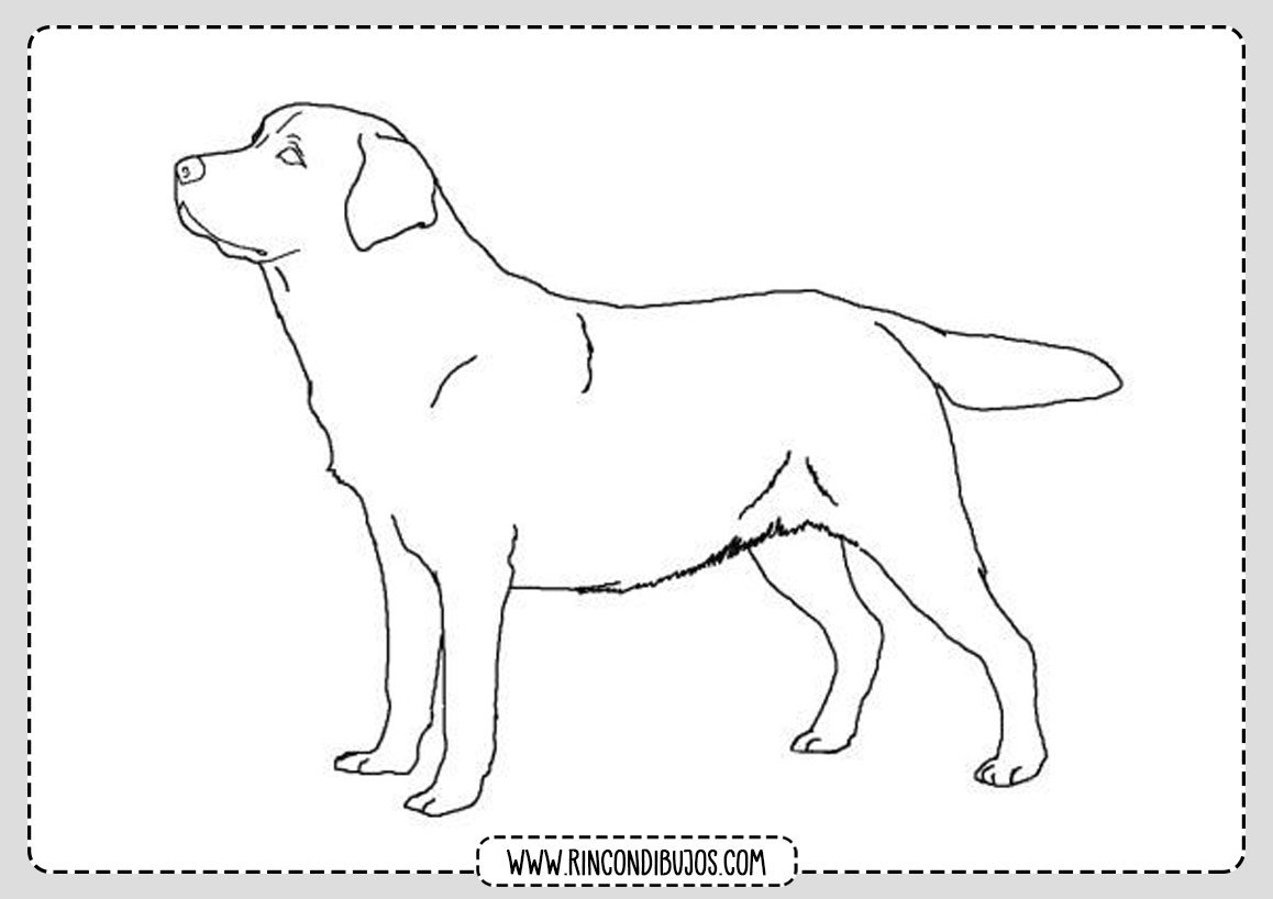 Как нарисовать Собаку поэтапно